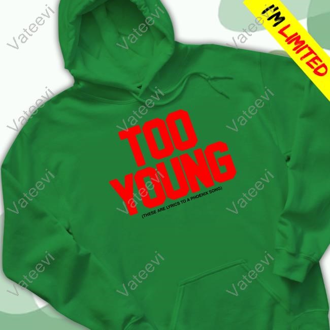 Wearephoenix Too Young These Are Lyrics To A Phoenix Song Hoodie Wearephoenix Too Young These Are Lyrics To A Phoenix Song Hoodie